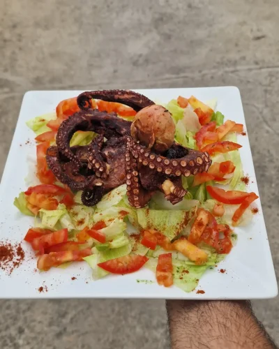 Plato gourmet en restaurante de moda en granada